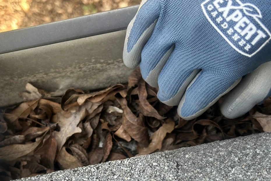 Gutter Cleaning Leander, TX