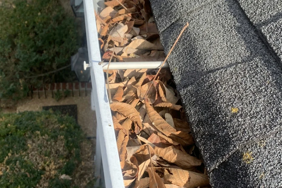 Gutter Cleaning Leander, TX