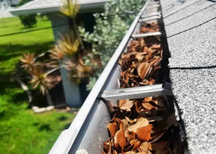 Gutter Cleaning Leander, TX home page